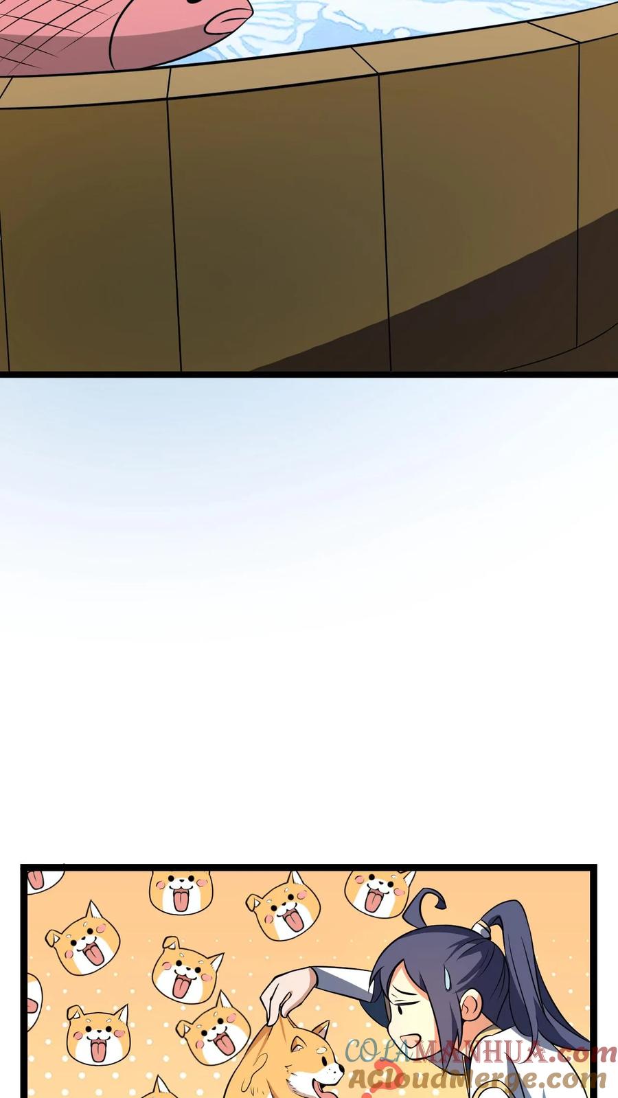 43.jpg