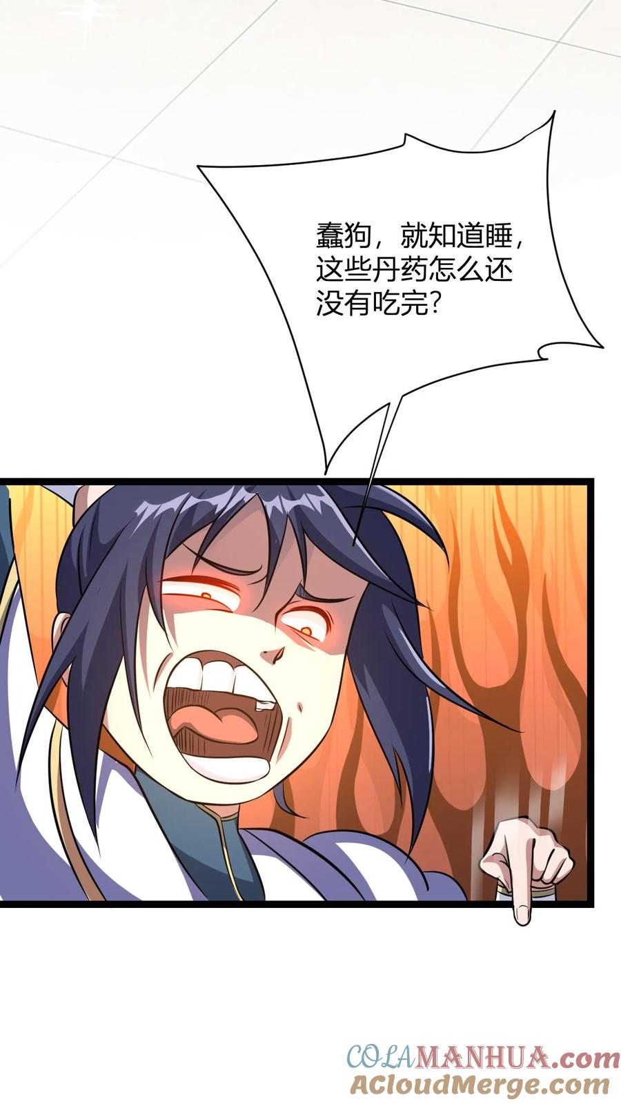 13.jpg