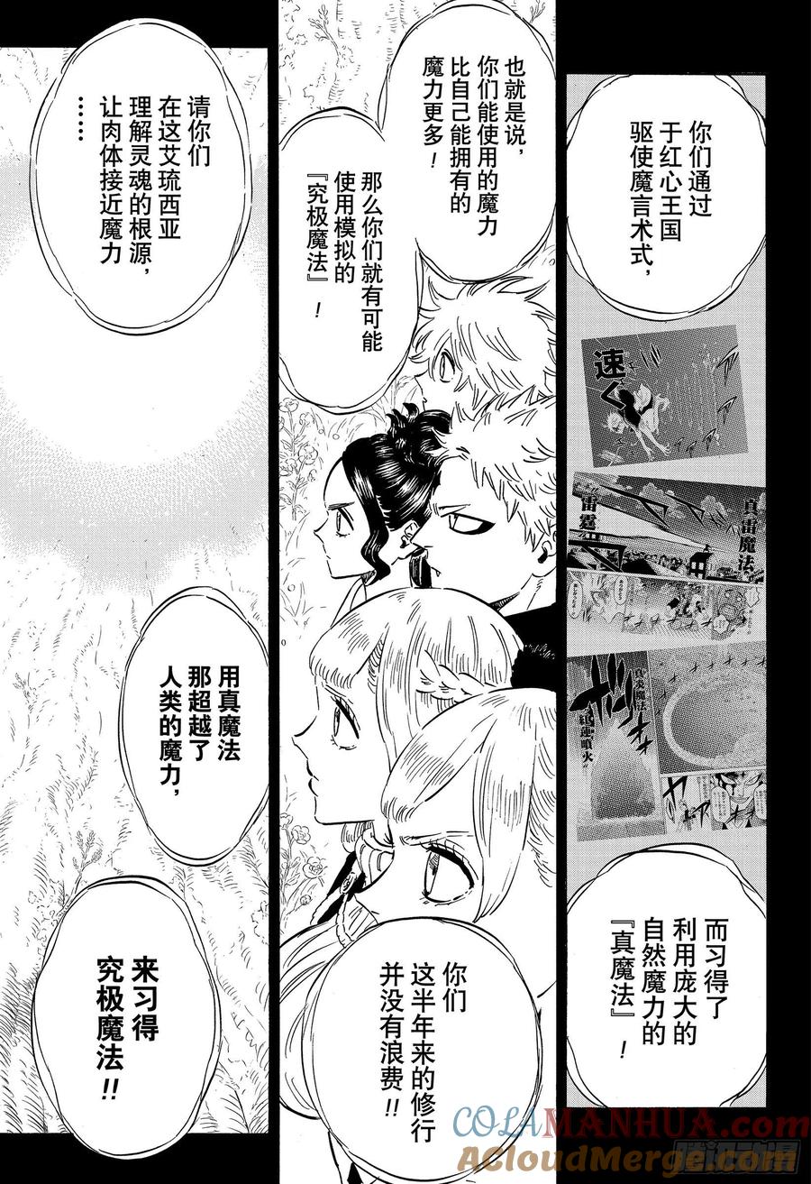 284究极魔法-黑色四叶草-田畠裕基,集英社（第3张）