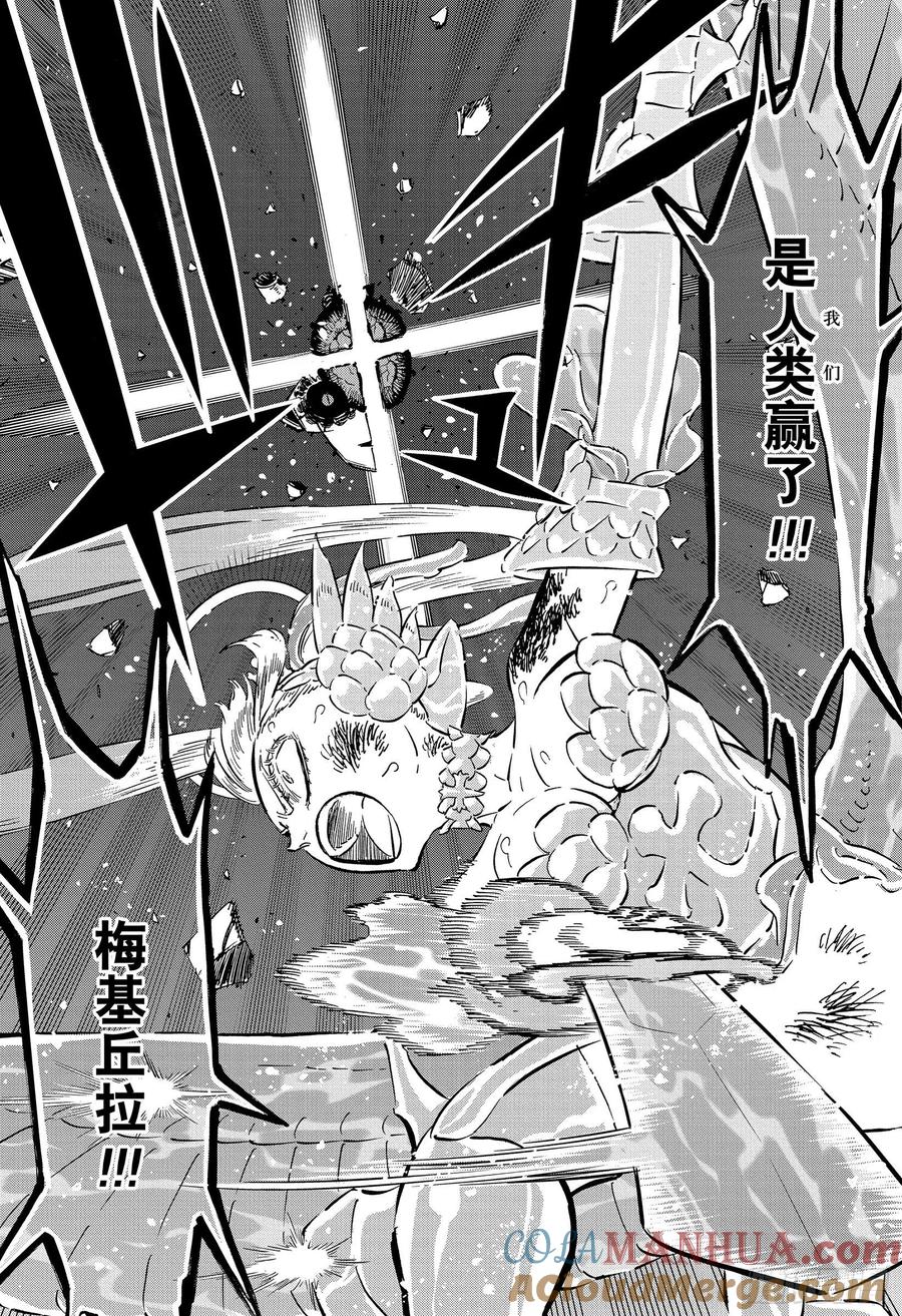 303福音-黑色四叶草-田畠裕基,集英社（第13张）