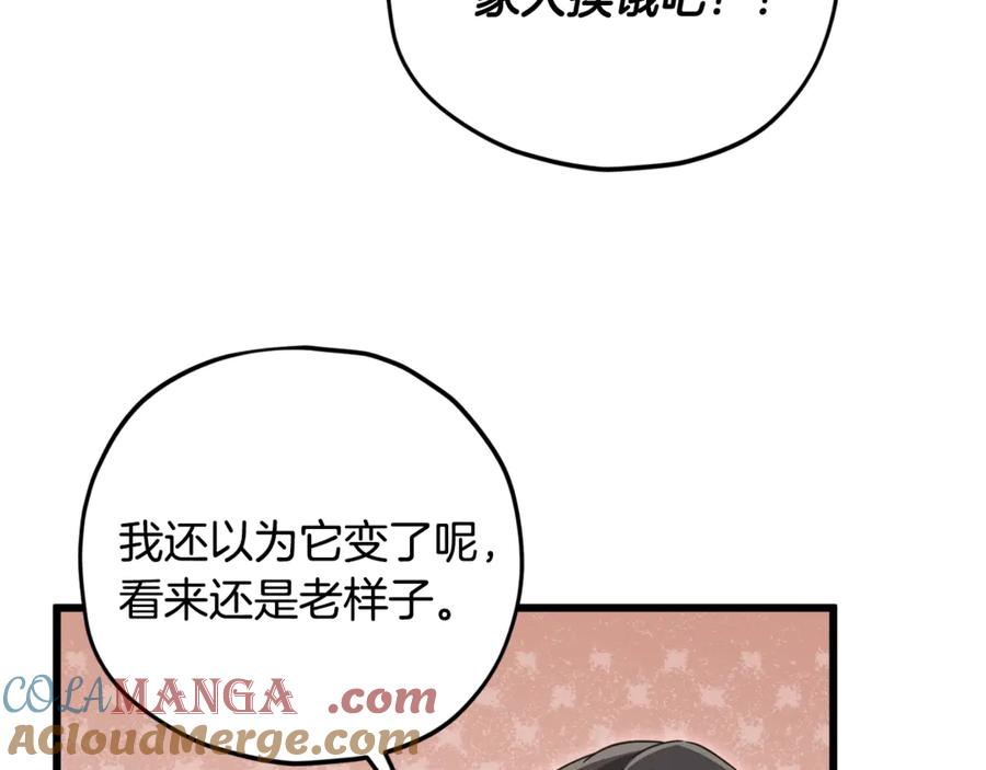 117.jpg