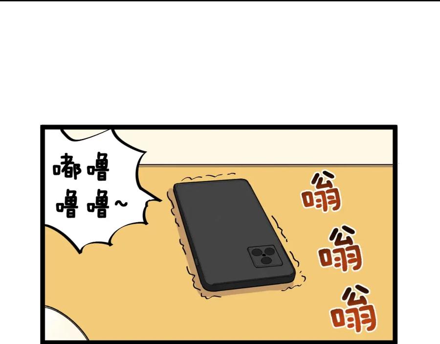 62.jpg
