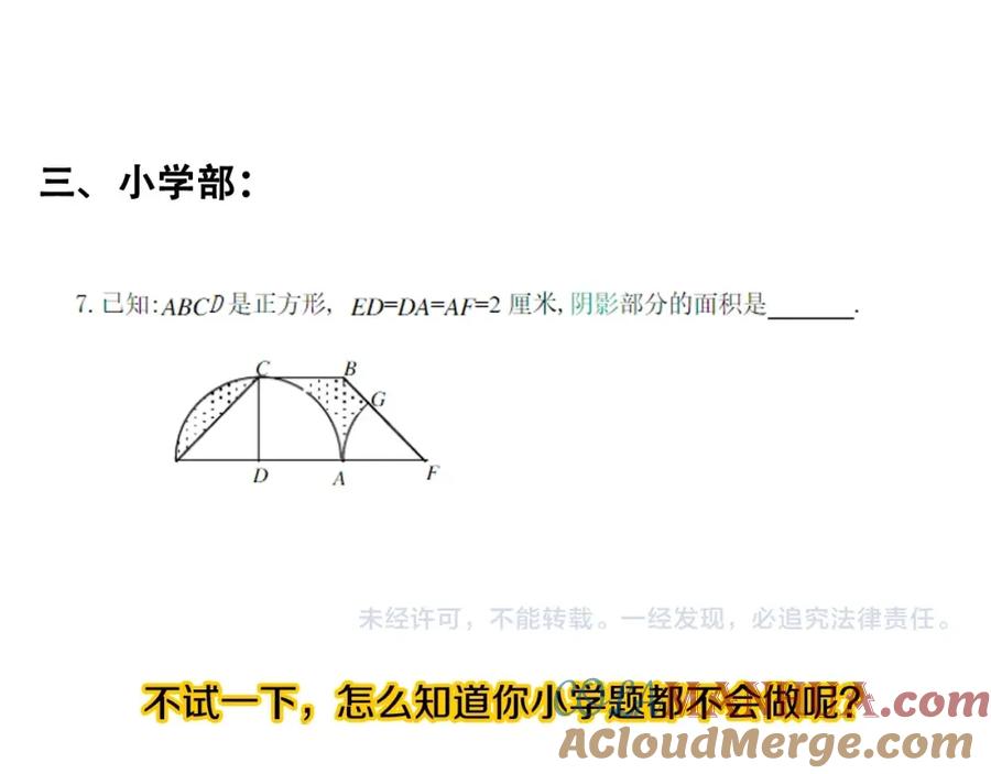 141.jpg