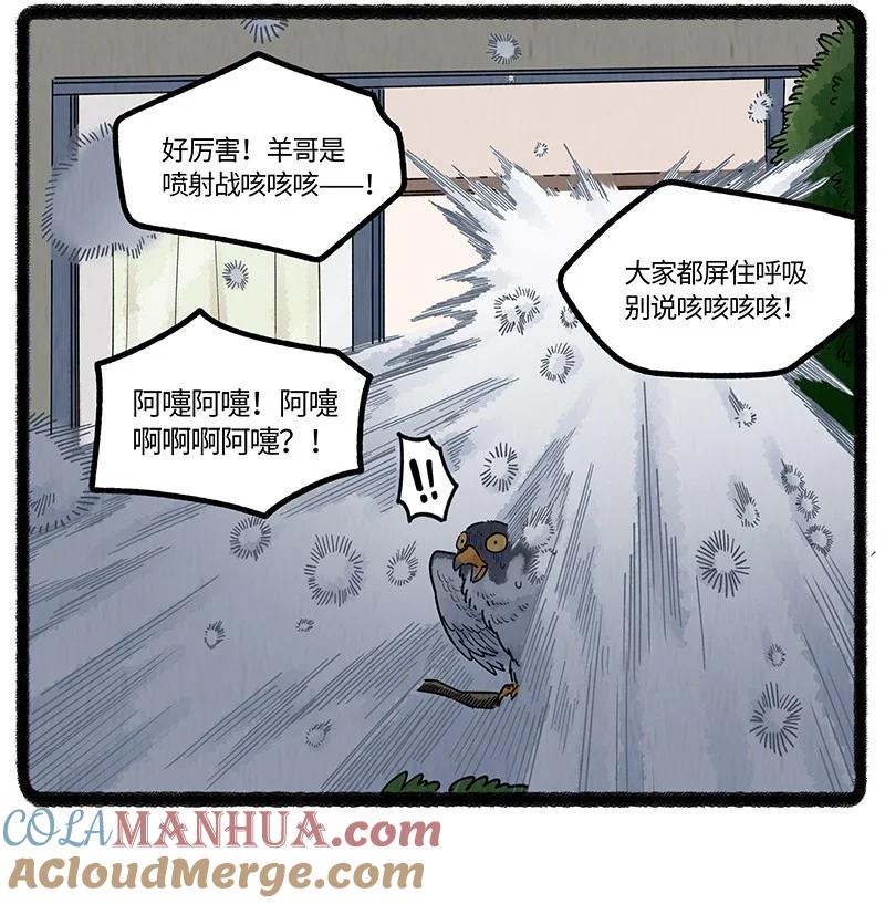 14.jpg