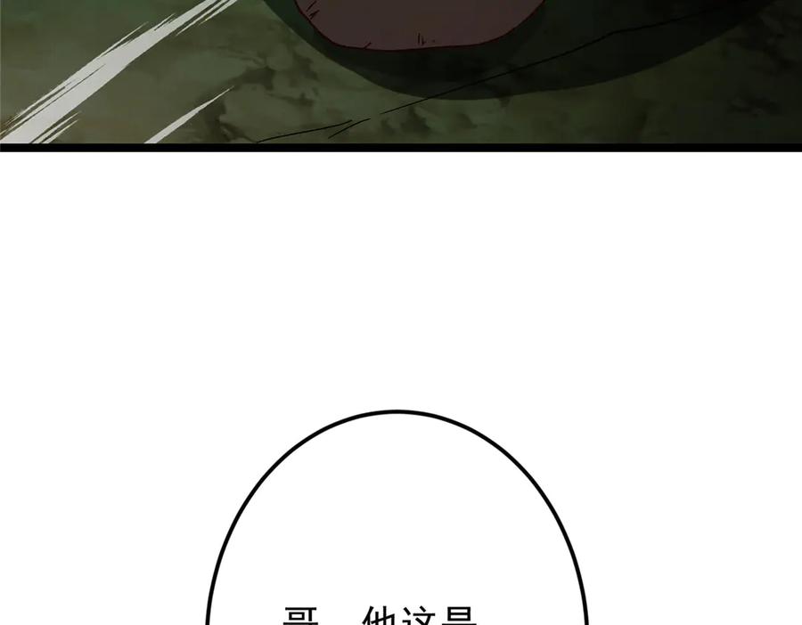 210.jpg