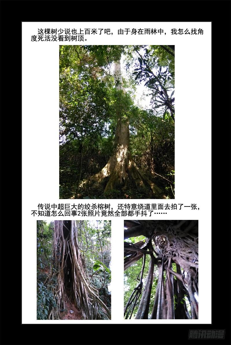 本章无正文-血色苍穹-北巷（第4张）