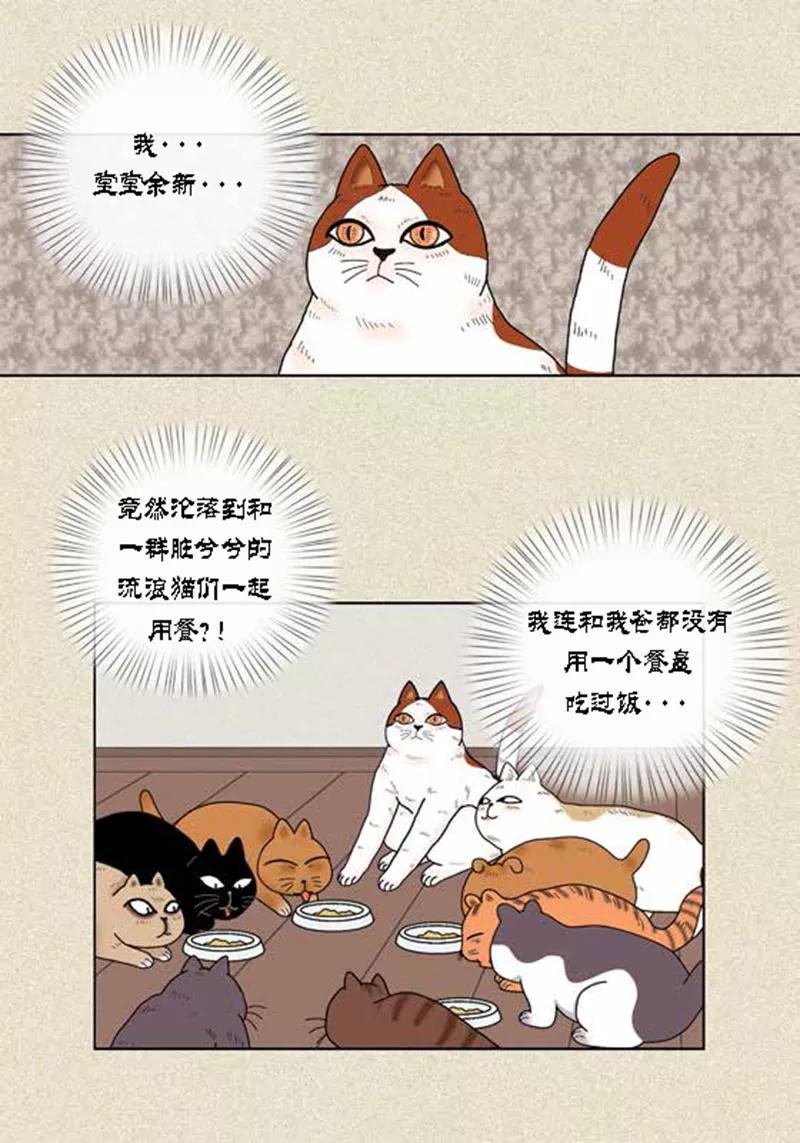 第37话习天的执着-猫王子-蓝文文化（第8张）
