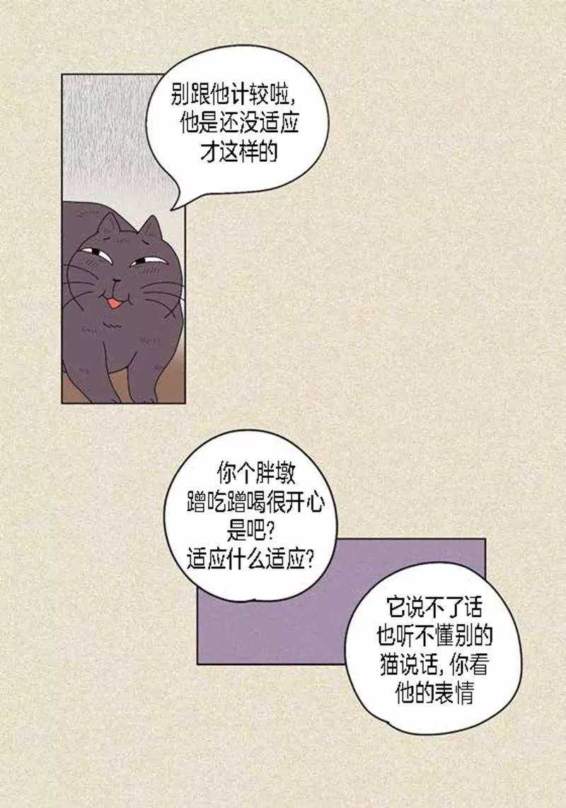 第37话习天的执着-猫王子-蓝文文化（第10张）