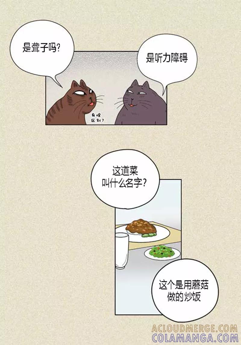第37话习天的执着-猫王子-蓝文文化（第11张）