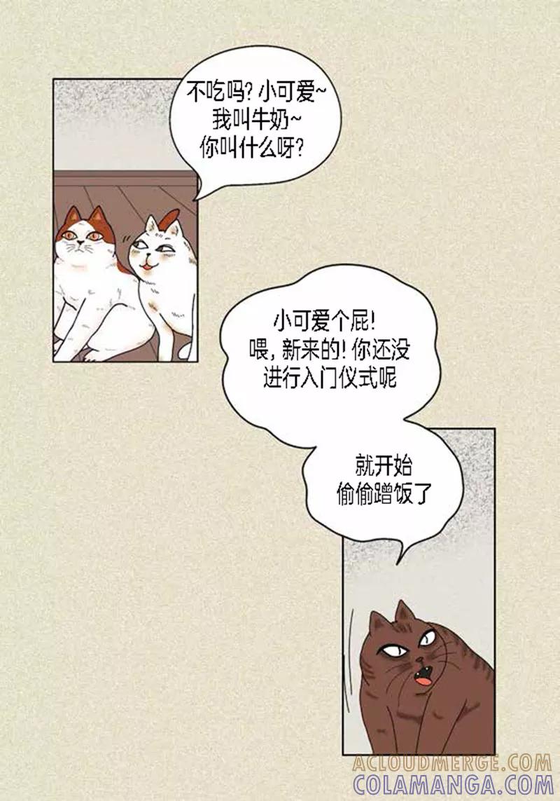 第37话习天的执着-猫王子-蓝文文化（第9张）