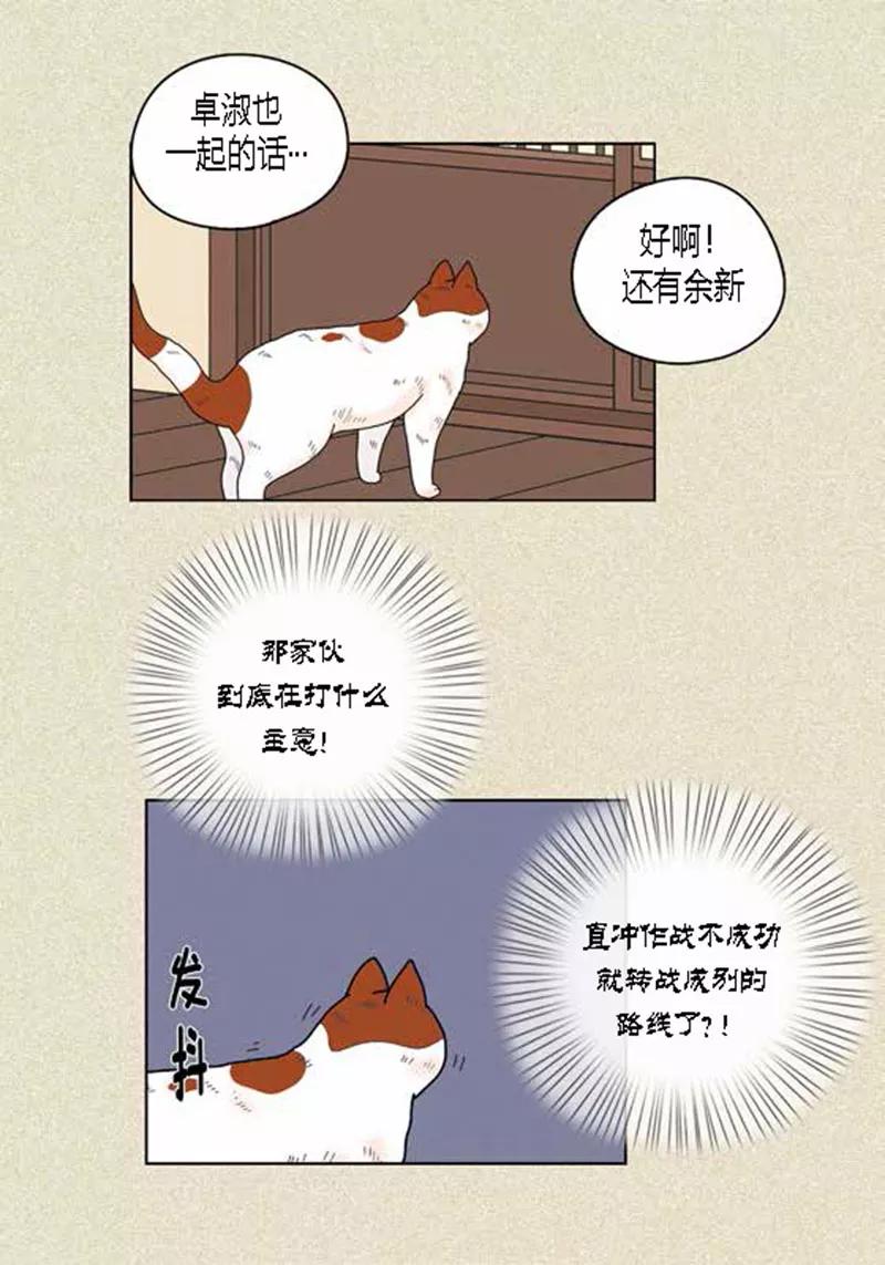 第37话习天的执着-猫王子-蓝文文化（第16张）