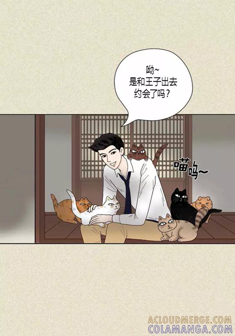 第37话习天的执着-猫王子-蓝文文化（第5张）