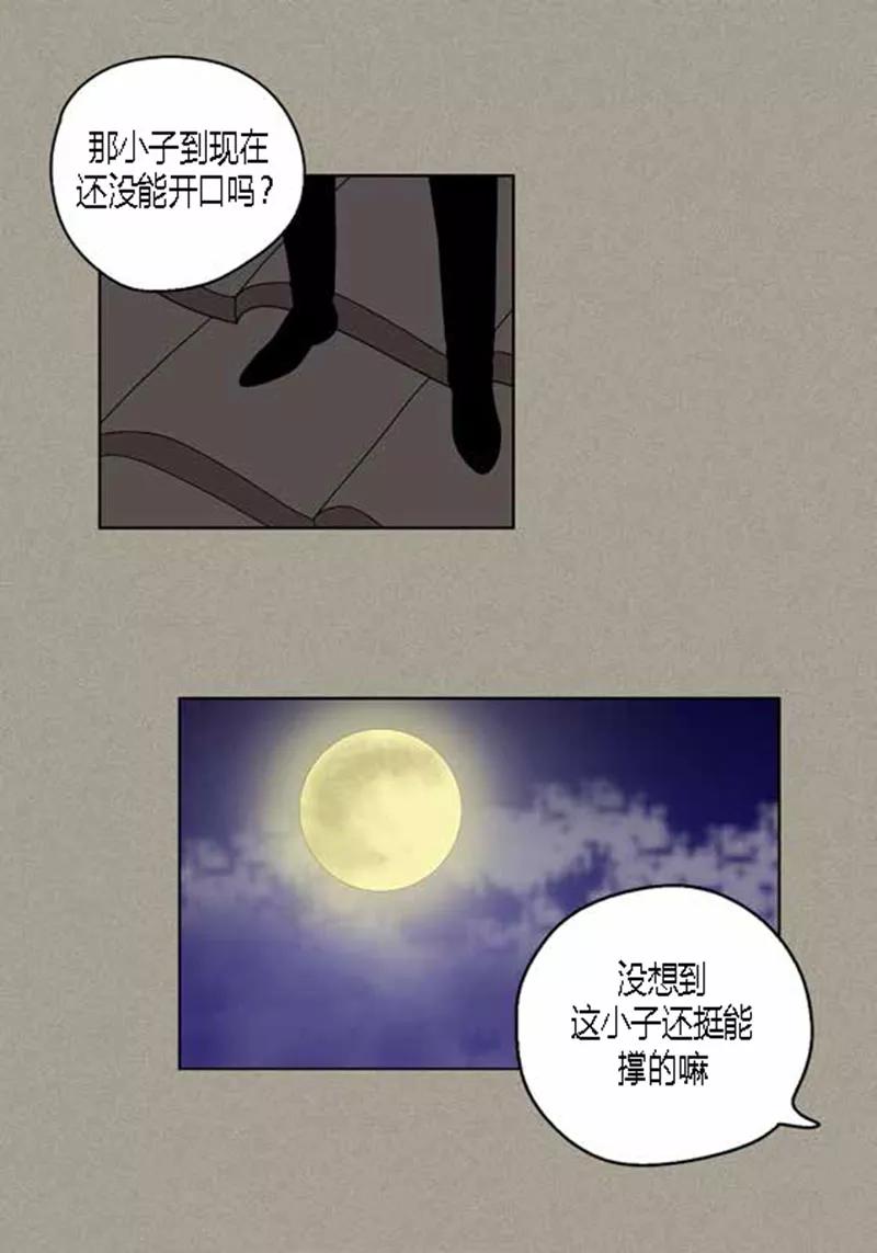 第37话习天的执着-猫王子-蓝文文化（第2张）