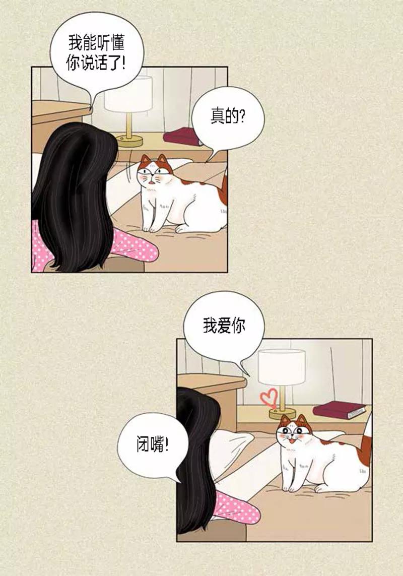 第38话油条危险-猫王子-蓝文文化（第6张）