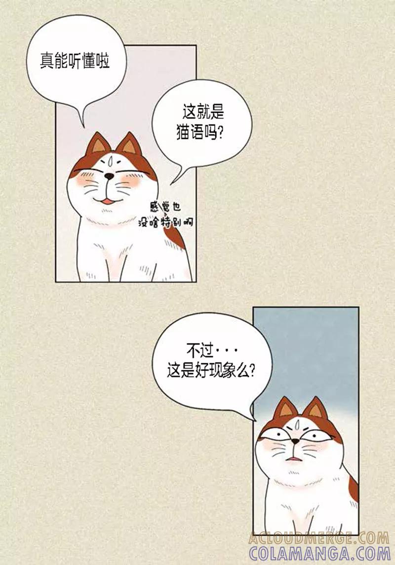 第38话油条危险-猫王子-蓝文文化（第7张）