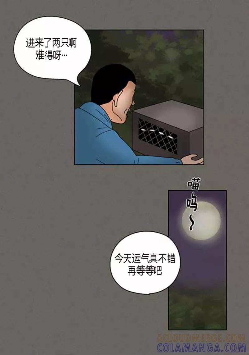 第38话油条危险-猫王子-蓝文文化（第9张）