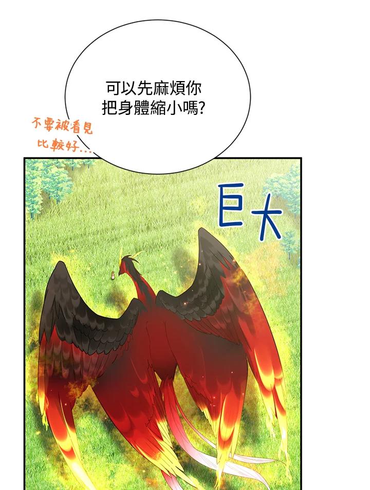 63.jpg