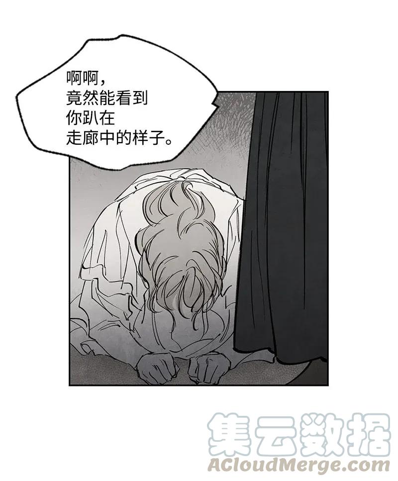 49.jpg