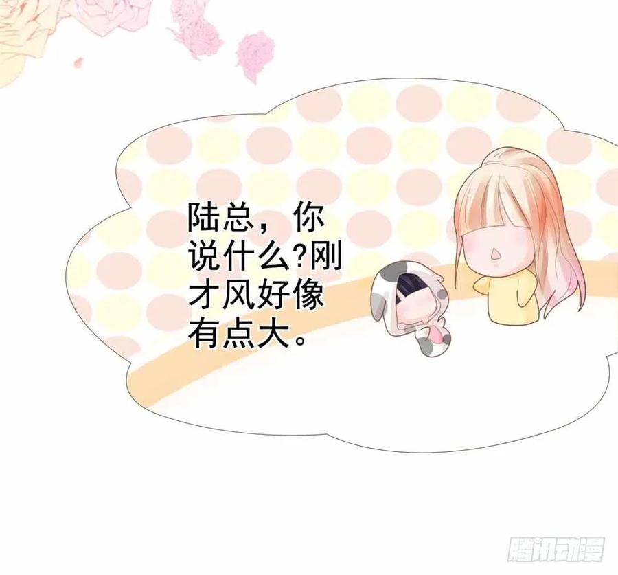 第5话突如其来的求婚-许你万丈光芒好-大行道动漫（第31张）