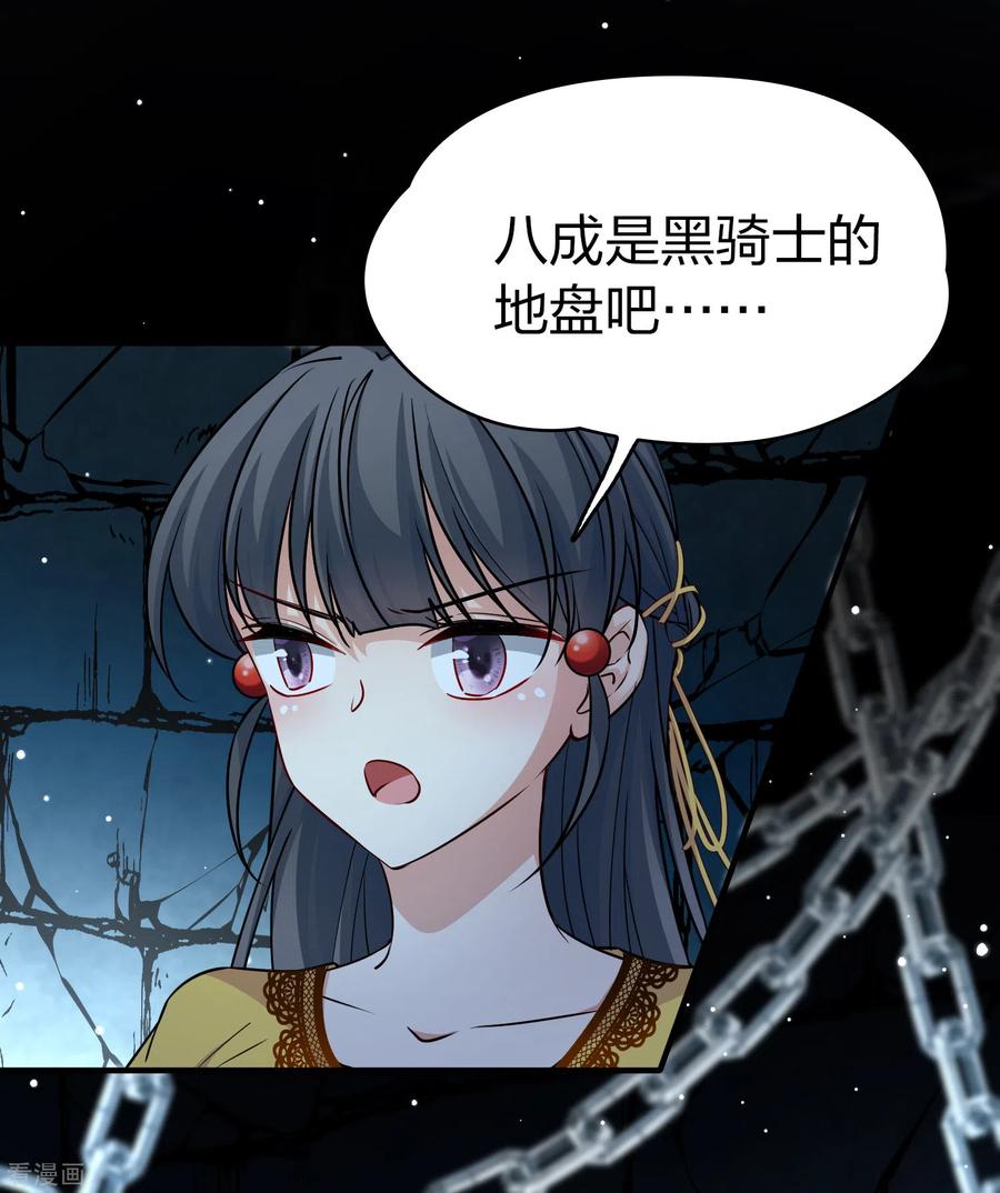 第2季第104话黑骑士的城堡5-寻找前世之旅-飒飒动漫（第10张）