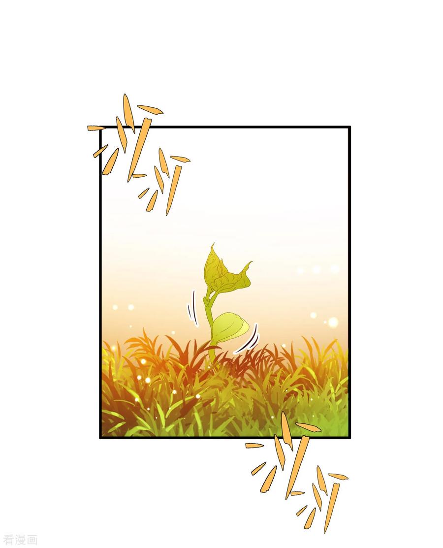 第2季第221话驸马的生辰2-寻找前世之旅-飒飒动漫（第11张）