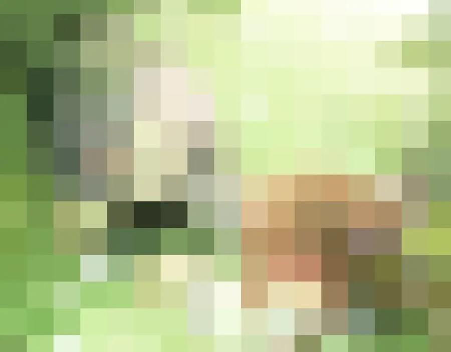 216.jpg