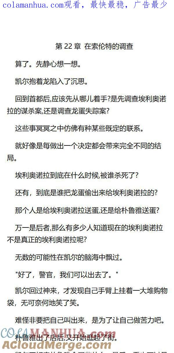 第22章在索伦特的调查-养龙的100种姿势 小说-达瑟儿（第1张）