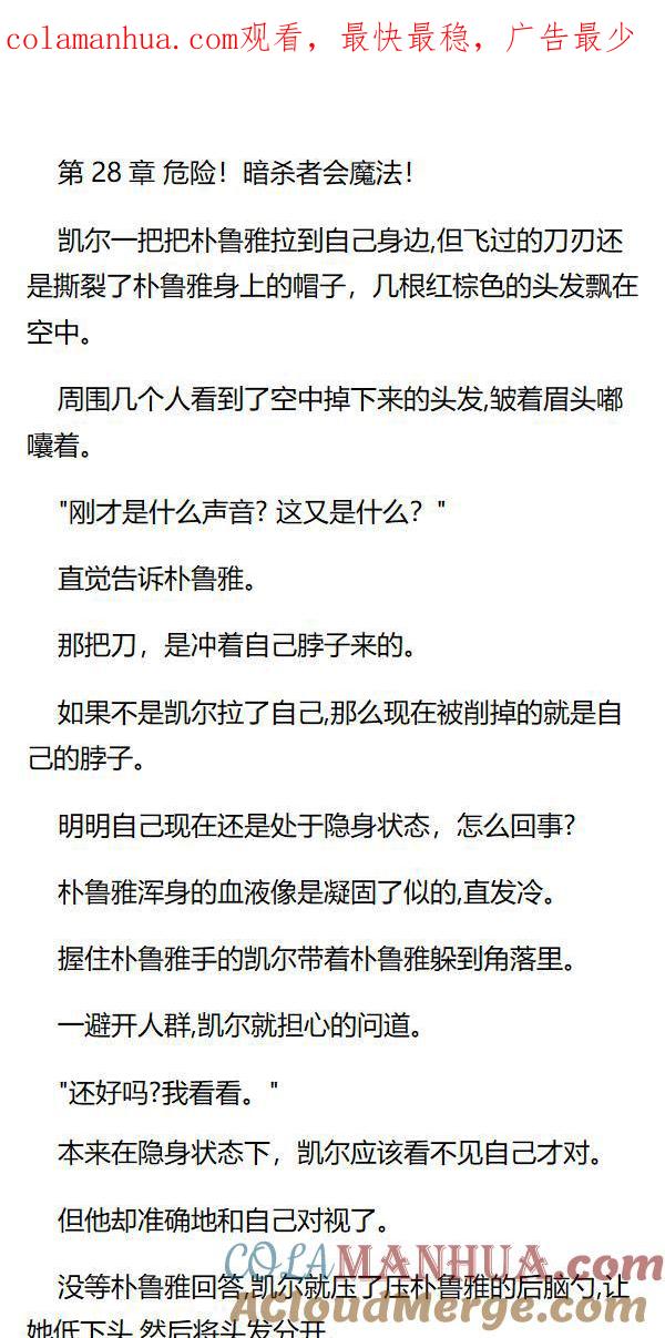第28章危险！暗杀者会魔法！-养龙的100种姿势 小说-达瑟儿（第1张）
