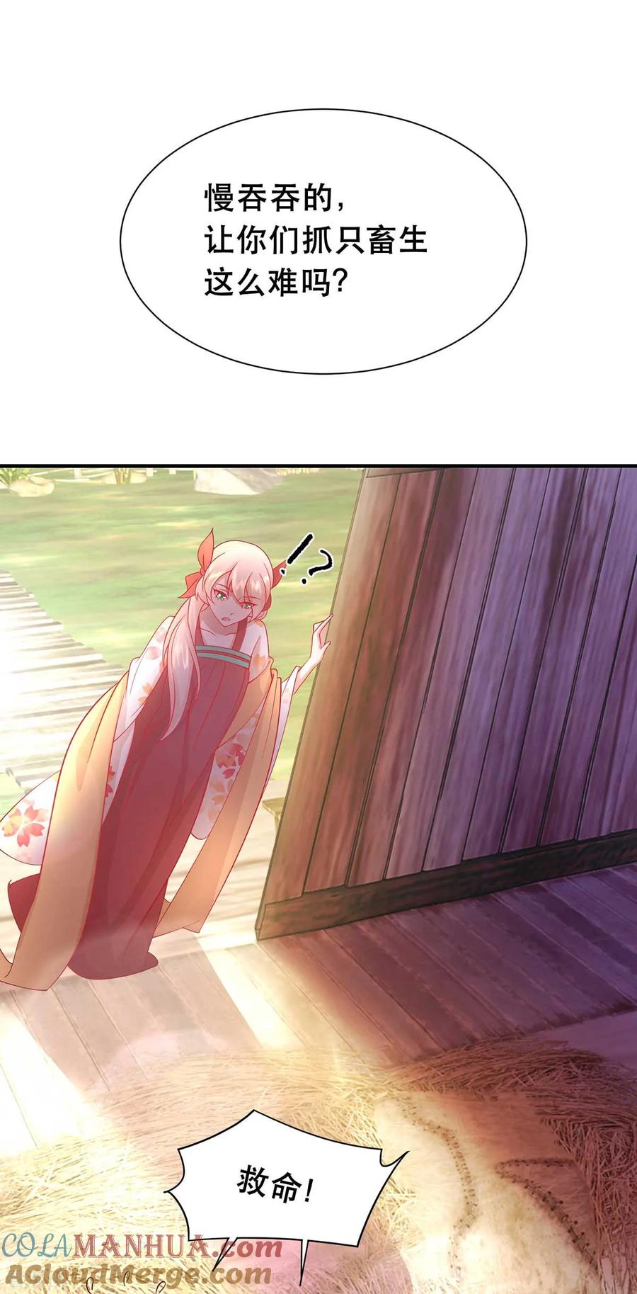 16.jpg