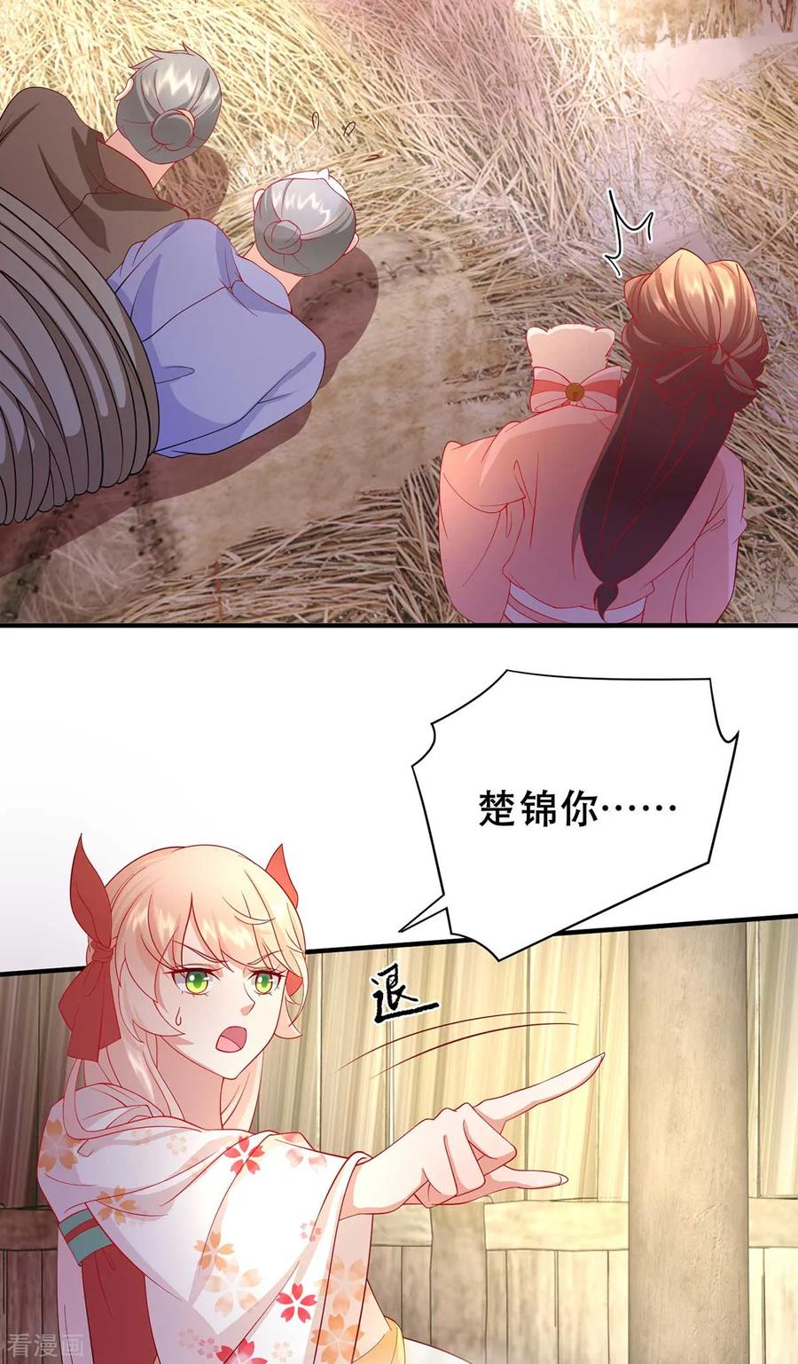 17.jpg