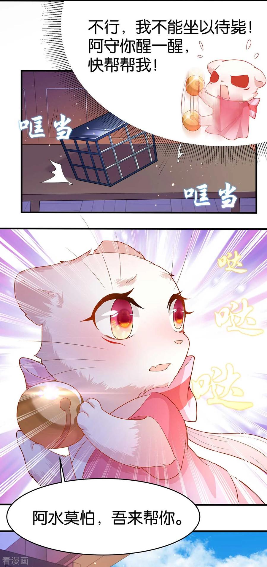 15.jpg