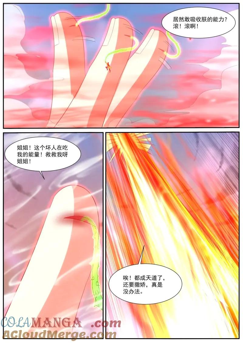 4.jpg