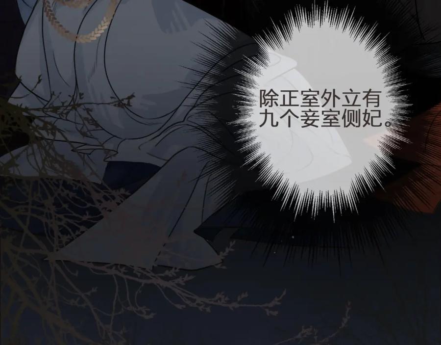 第1话代嫁哑奴的悲哀-哑奴2：探花-百里君兮（主笔）+羌塘（原著）（第13张）