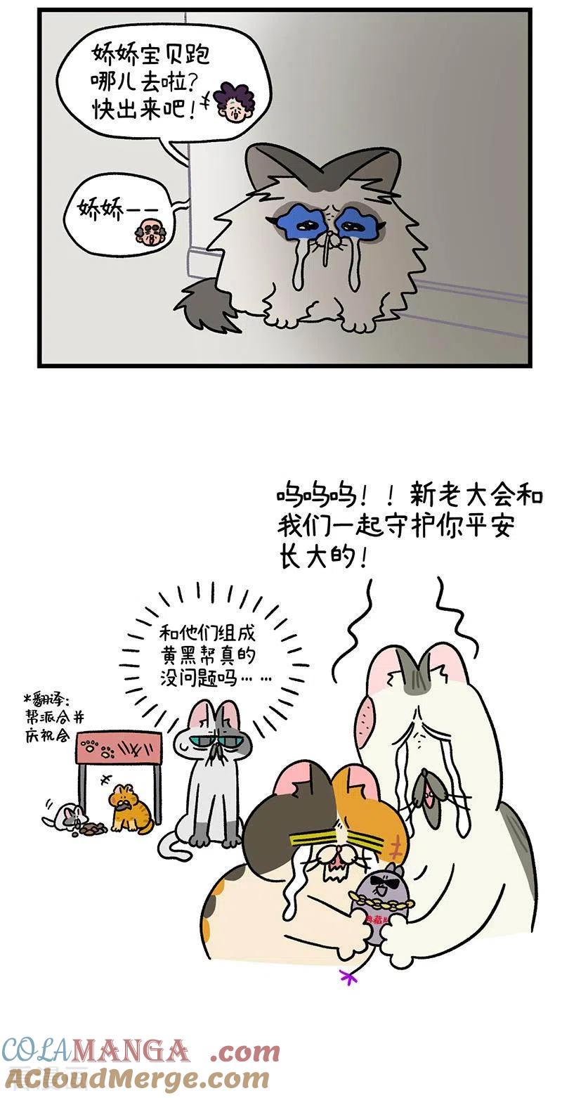 第46话富贵回家了-阿满和麦茶-新漫画 日胖大海寺（第5张）