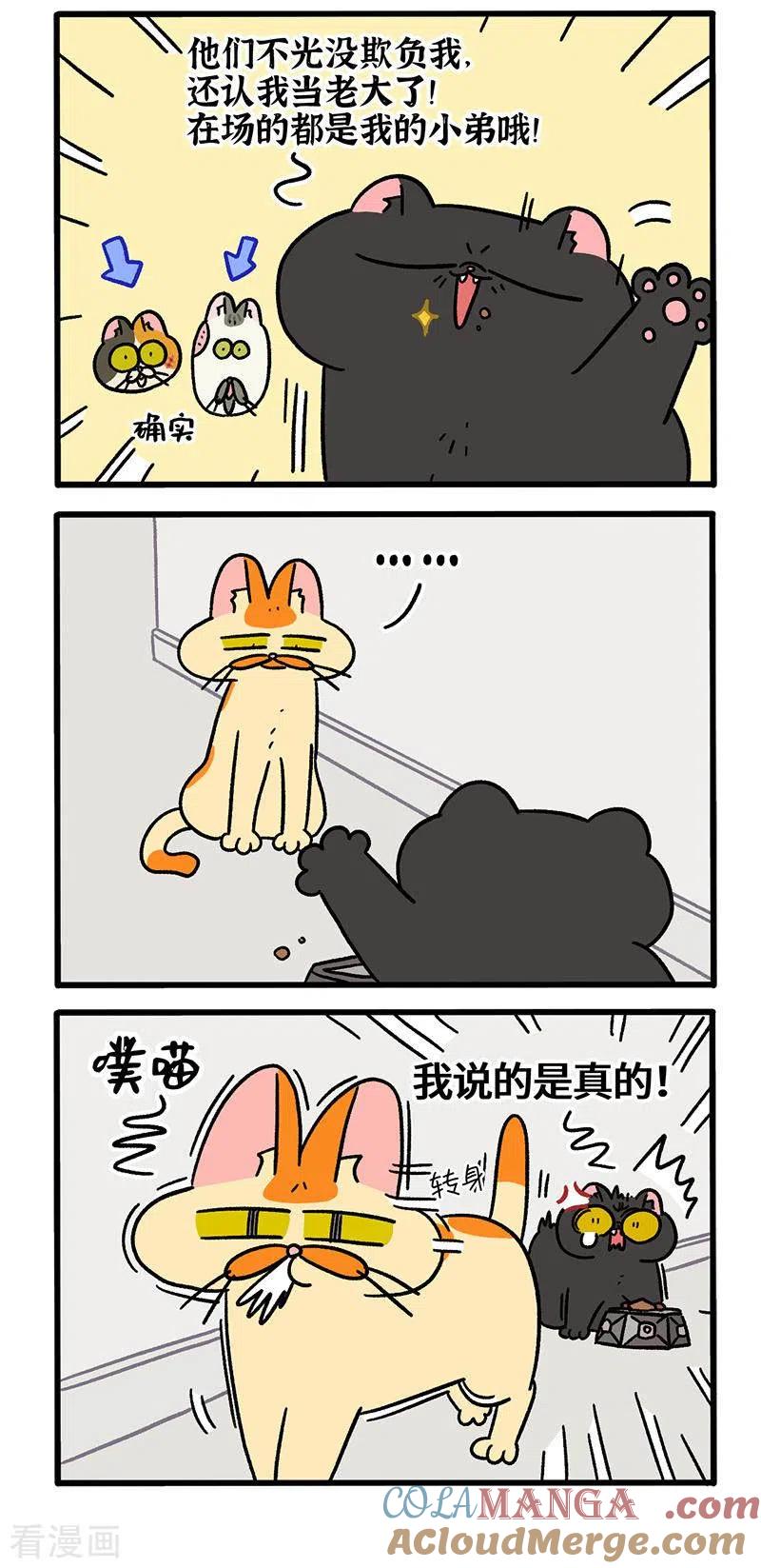 第46话富贵回家了-阿满和麦茶-新漫画 日胖大海寺（第3张）