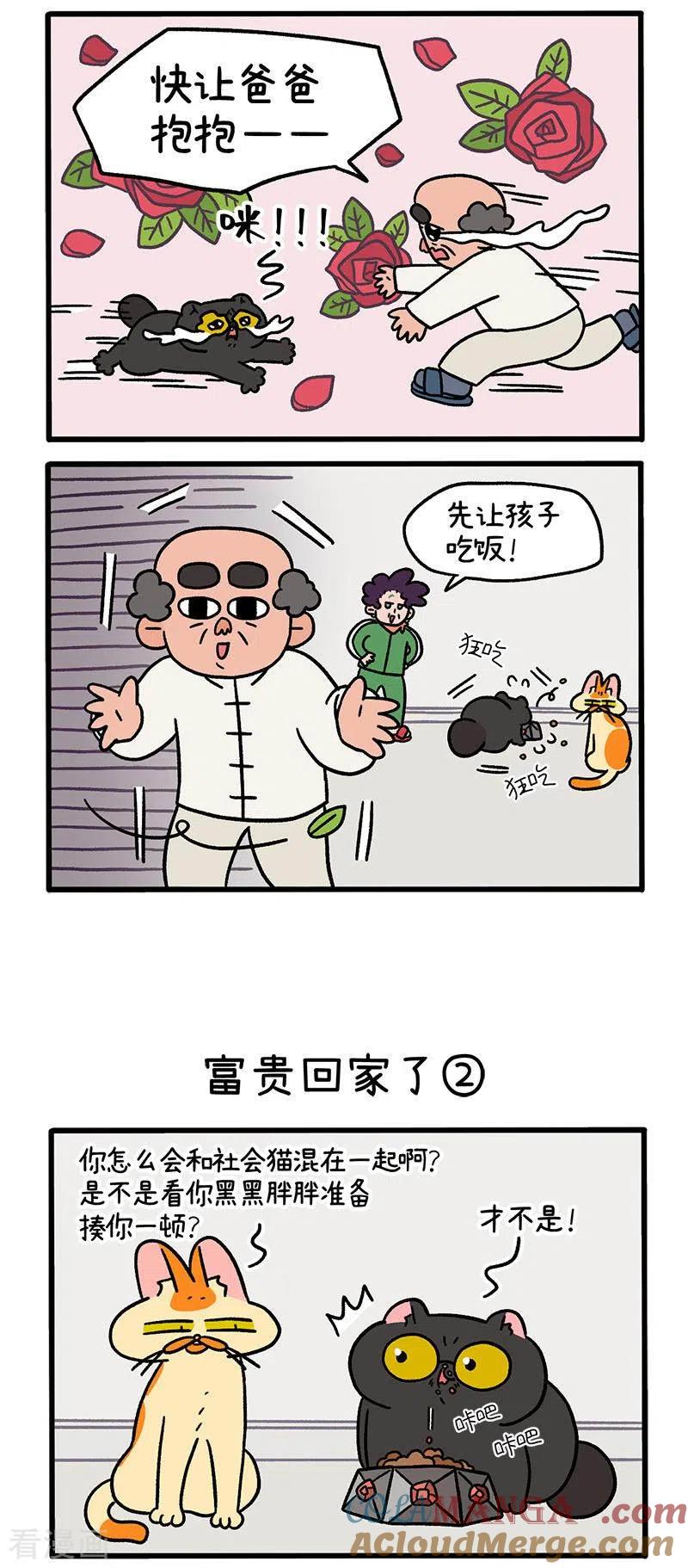 第46话富贵回家了-阿满和麦茶-新漫画 日胖大海寺（第2张）