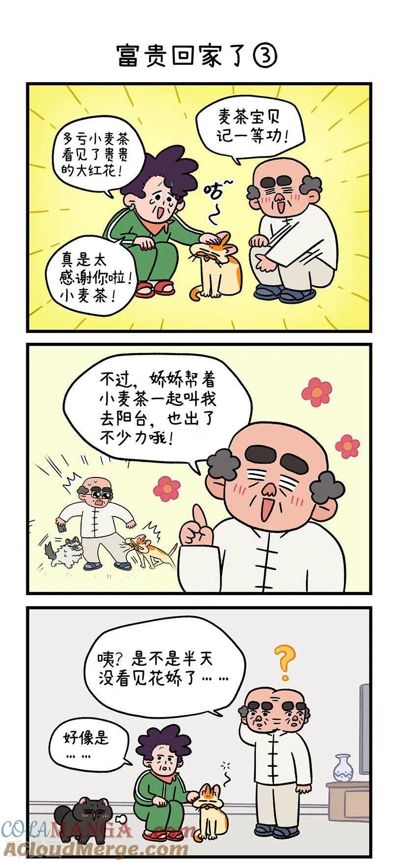 第46话富贵回家了-阿满和麦茶-新漫画 日胖大海寺（第4张）