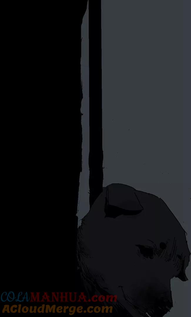 49.jpg