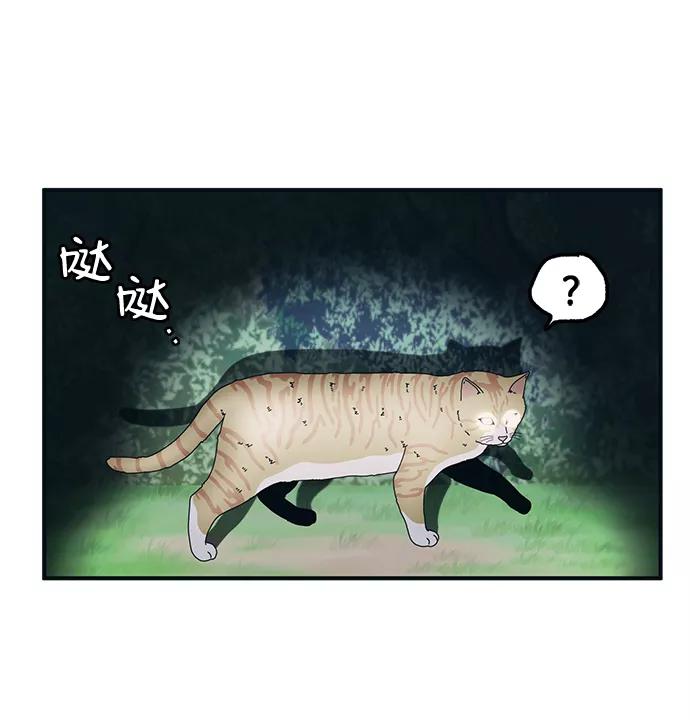 54.jpg