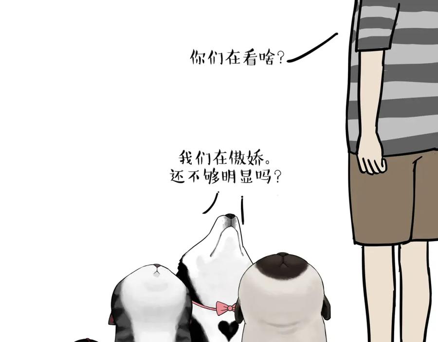 50.jpg