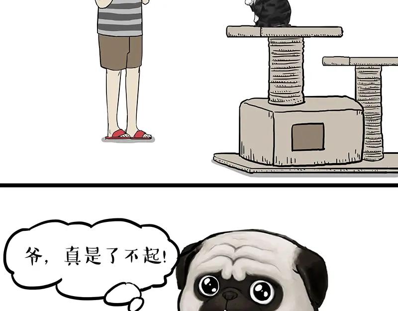 36.jpg