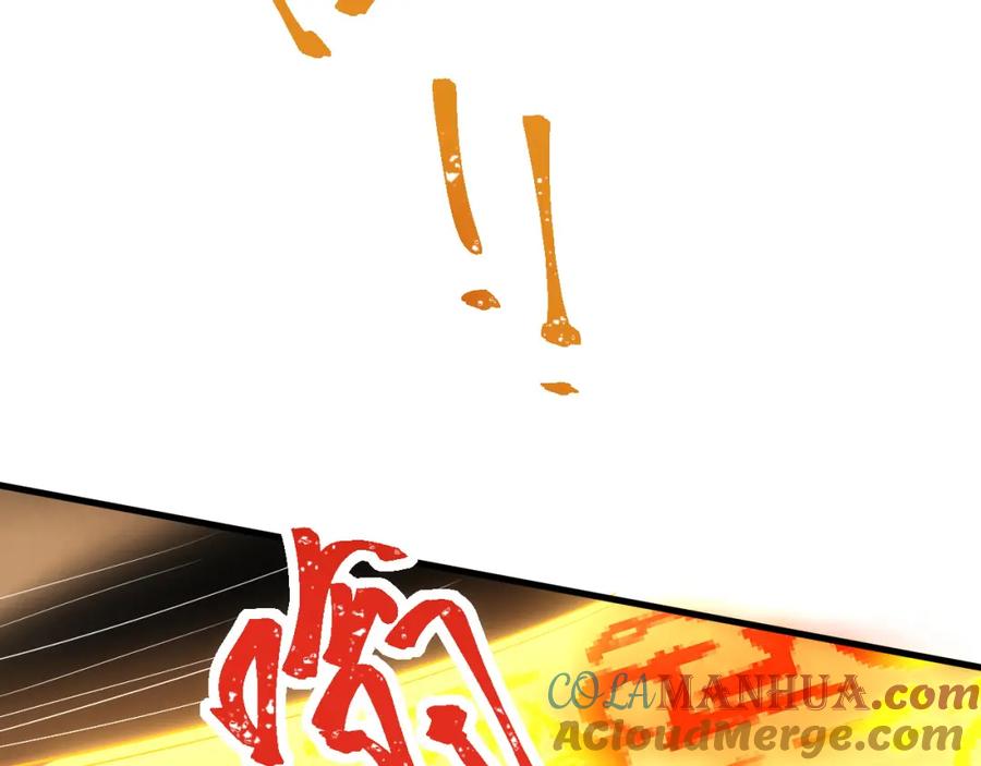 117.jpg