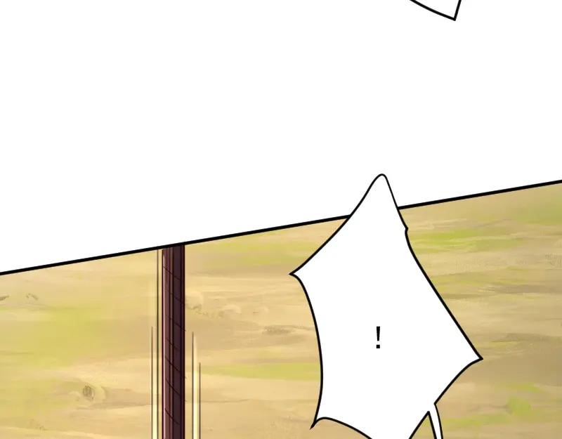 78.jpg
