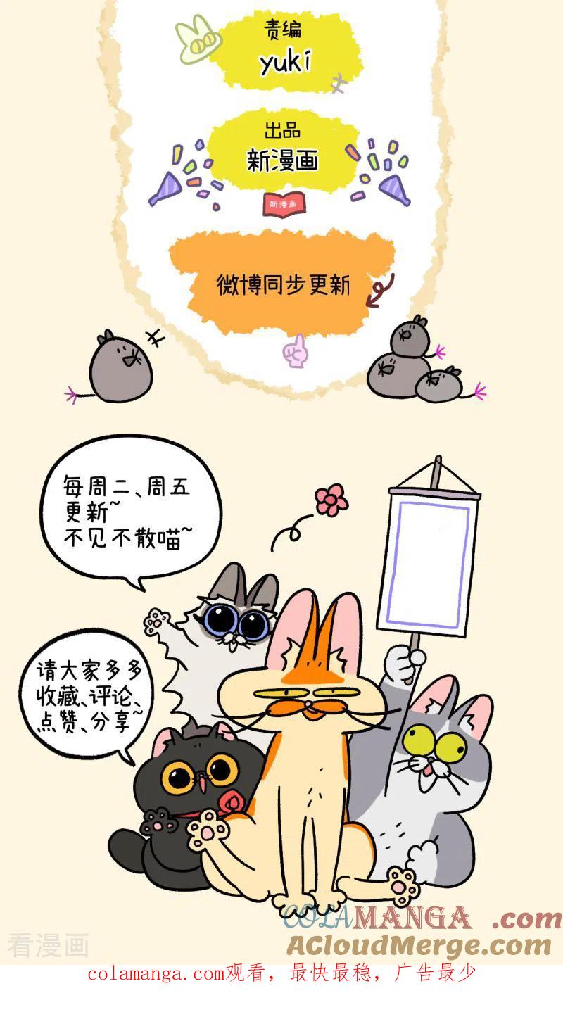 第31话1富贵革命1-阿满和麦茶-新漫画 日胖大海寺（第6张）