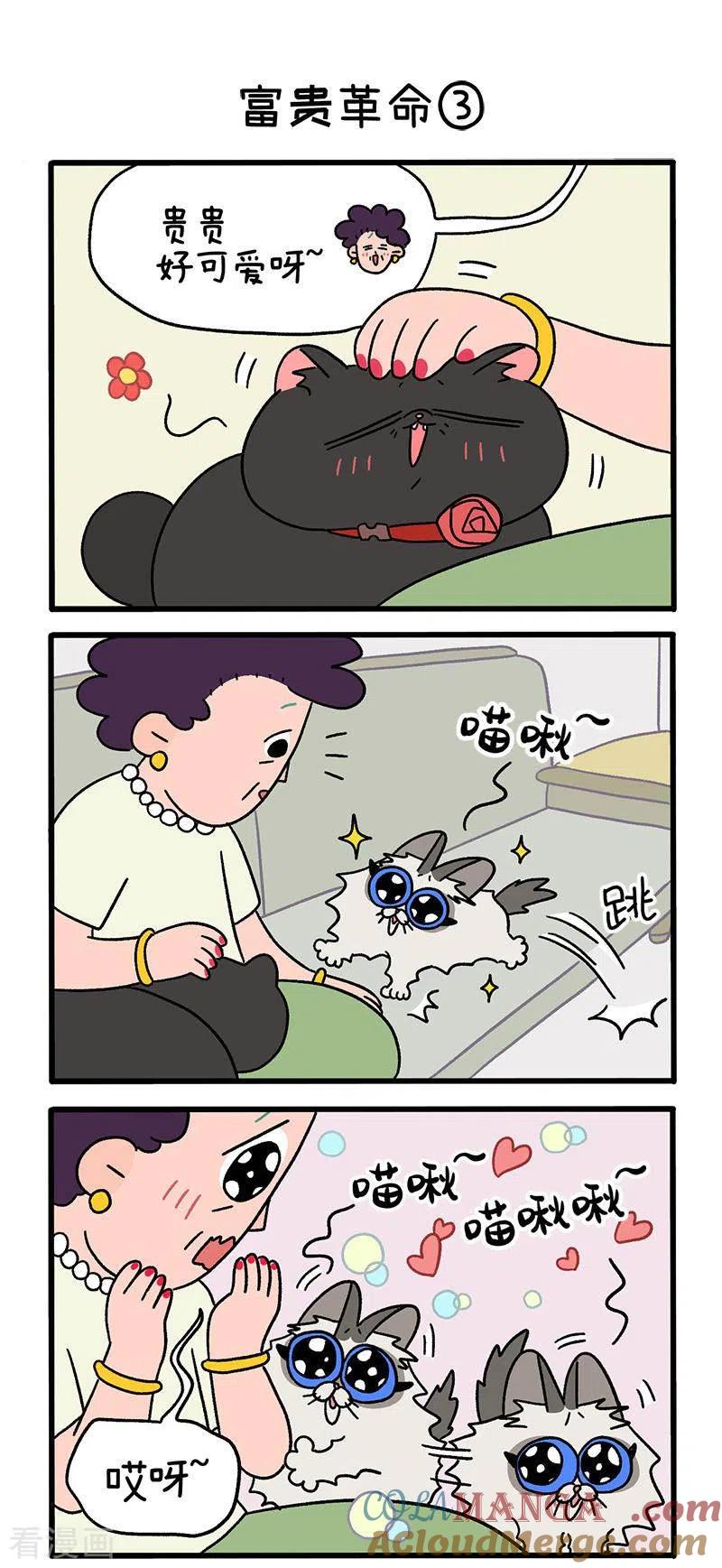 第31话1富贵革命1-阿满和麦茶-新漫画 日胖大海寺（第4张）