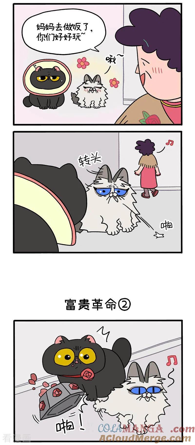 第31话1富贵革命1-阿满和麦茶-新漫画 日胖大海寺（第2张）