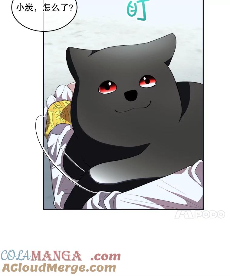 97.jpg