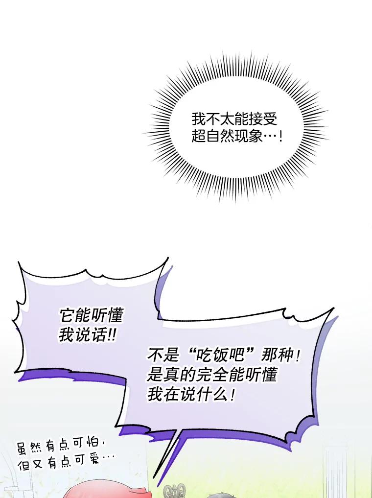 78.jpg