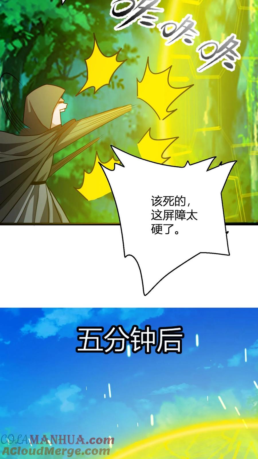 11.jpg