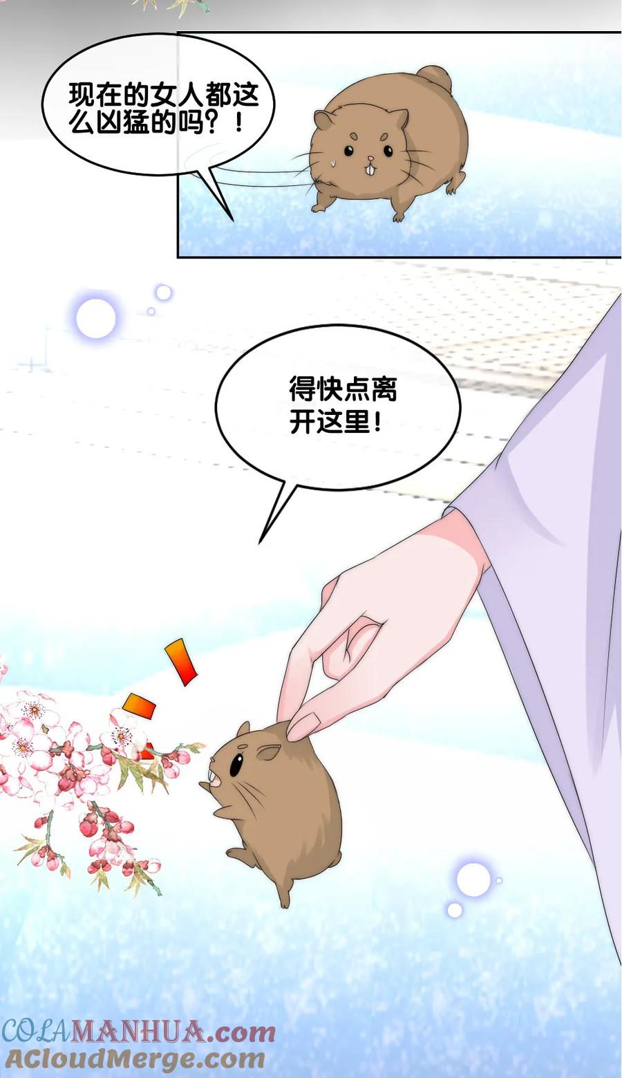 第2季第13话善音殿下杠上小绿茶-君上的小公主-极漫文化 一口饭工作室（第3张）
